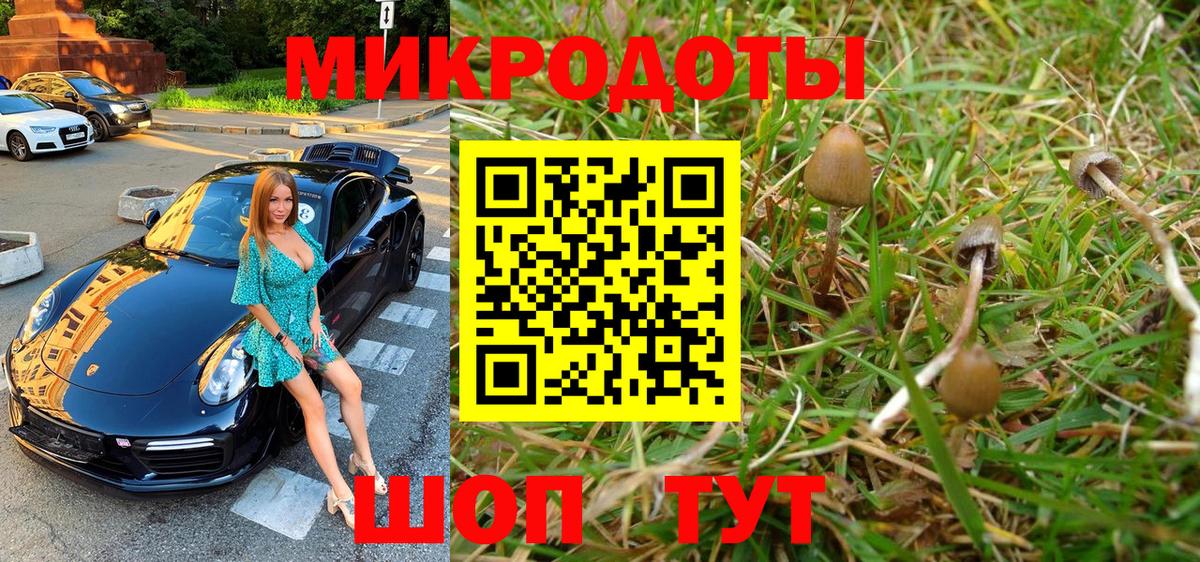 Галлюциногенные грибы мицелий  Вход с VPN  Фролово 